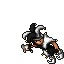 Undead Jester